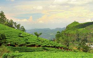 sikkim-img